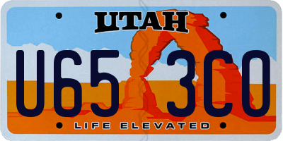 UT license plate U653CO