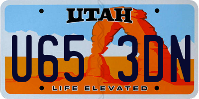 UT license plate U653DN