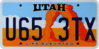 UT license plate U653TX