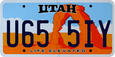 UT license plate U655IY