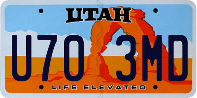 UT license plate U703MD