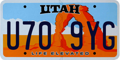 UT license plate U709YG