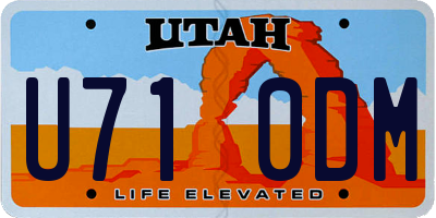 UT license plate U710DM