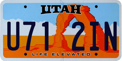 UT license plate U712IN