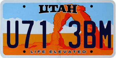 UT license plate U713BM