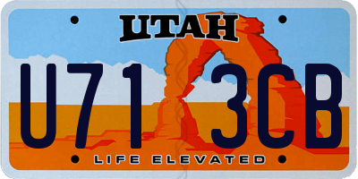 UT license plate U713CB
