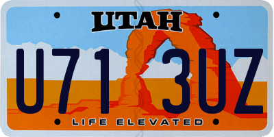 UT license plate U713UZ