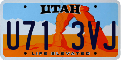 UT license plate U713VJ