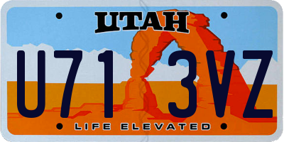 UT license plate U713VZ