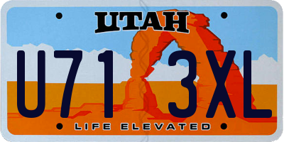 UT license plate U713XL