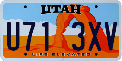UT license plate U713XV