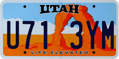 UT license plate U713YM