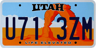 UT license plate U713ZM