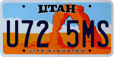 UT license plate U725MS