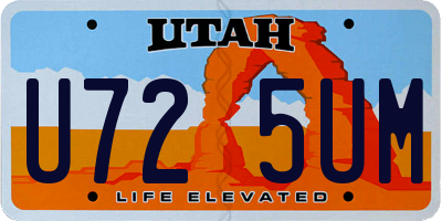 UT license plate U725UM