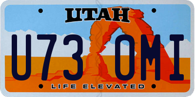 UT license plate U730MI
