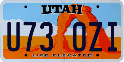 UT license plate U730ZI