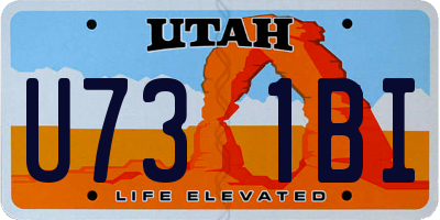 UT license plate U731BI