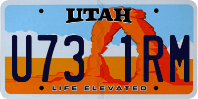 UT license plate U731RM