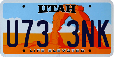 UT license plate U733NK