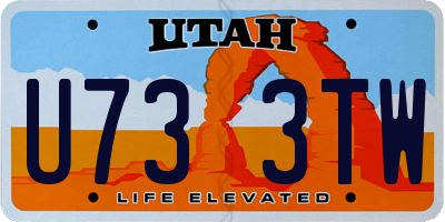 UT license plate U733TW