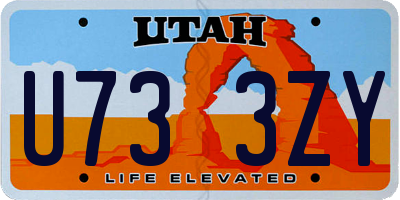 UT license plate U733ZY