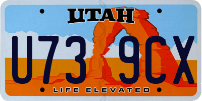 UT license plate U739CX