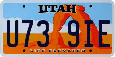 UT license plate U739IE