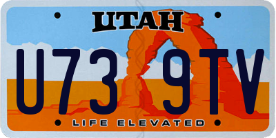 UT license plate U739TV