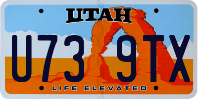 UT license plate U739TX