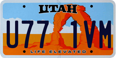 UT license plate U771VM