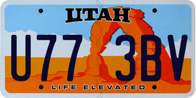UT license plate U773BV