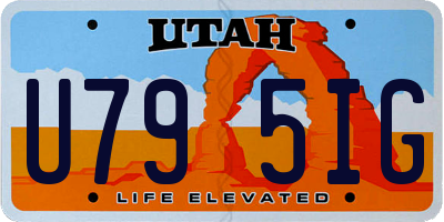 UT license plate U795IG