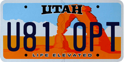UT license plate U810PT