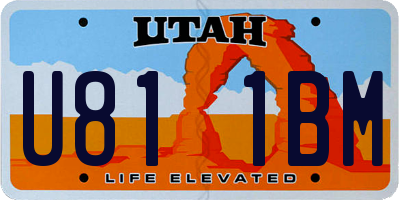 UT license plate U811BM