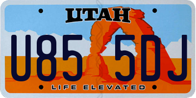 UT license plate U855DJ