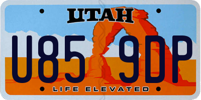 UT license plate U859DP