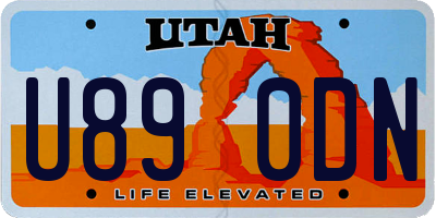 UT license plate U890DN