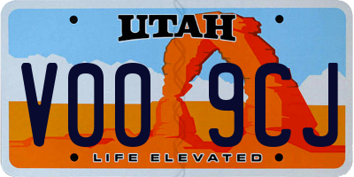 UT license plate V009CJ