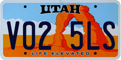 UT license plate V025LS