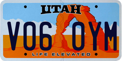 UT license plate V060YM