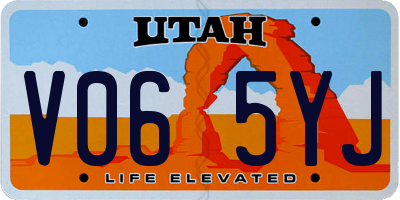 UT license plate V065YJ