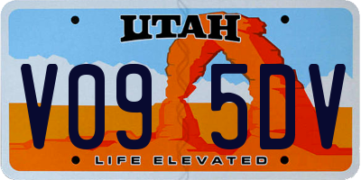 UT license plate V095DV