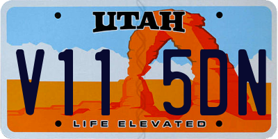 UT license plate V115DN