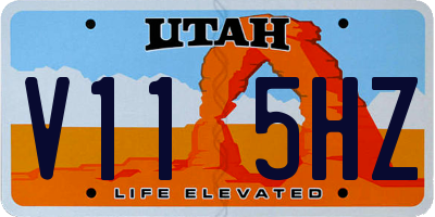 UT license plate V115HZ