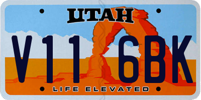 UT license plate V116BK