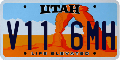 UT license plate V116MH