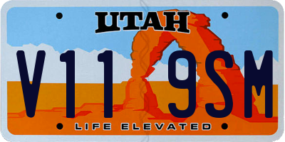 UT license plate V119SM