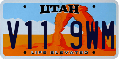 UT license plate V119WM
