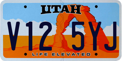 UT license plate V125YJ